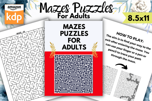 Mazes Puzzles for Adults